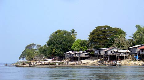 don khong - si phan don