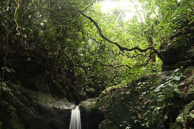 Tangakhan Tangakhan waterfall